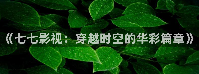 西瓜影院播放电视剧少帅