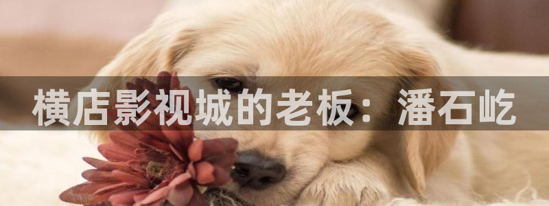 西瓜影院美国禁忌：横店影视城的老板：潘石屹