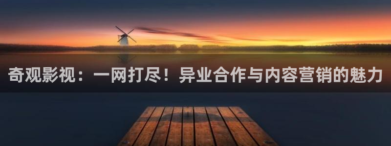西瓜东台：奇观影视：一网打尽！异业合作与内容营销的魅力