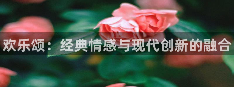 射天狼电视剧免费观看西瓜影院：欢乐颂：经典情感与现代创新的融合